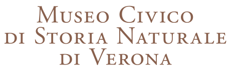 Museo di Storia Naturale Verona